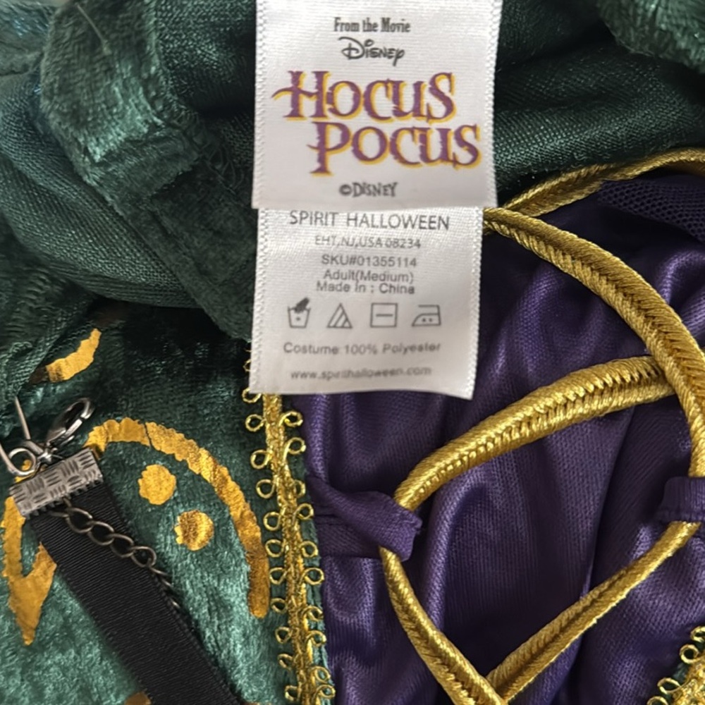 Hocus Pocus Winifred Sanderson Costume + Wig - Picture 6 of 7